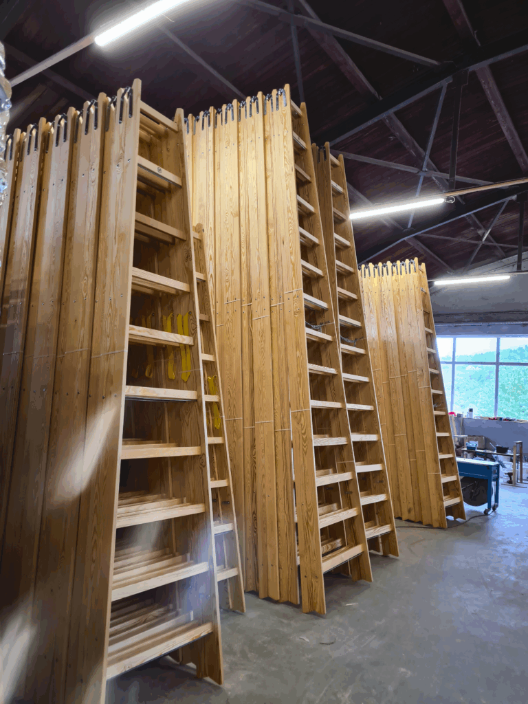 Wooden ladders woodland